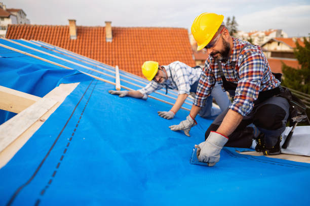 Best Flat Roof Repair Services  in Capitan, NM