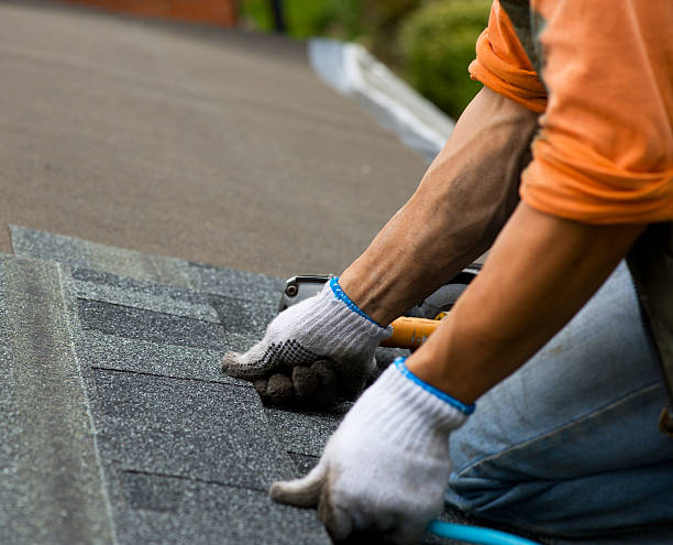 Roof Gutter Cleaning in Capitan, NM